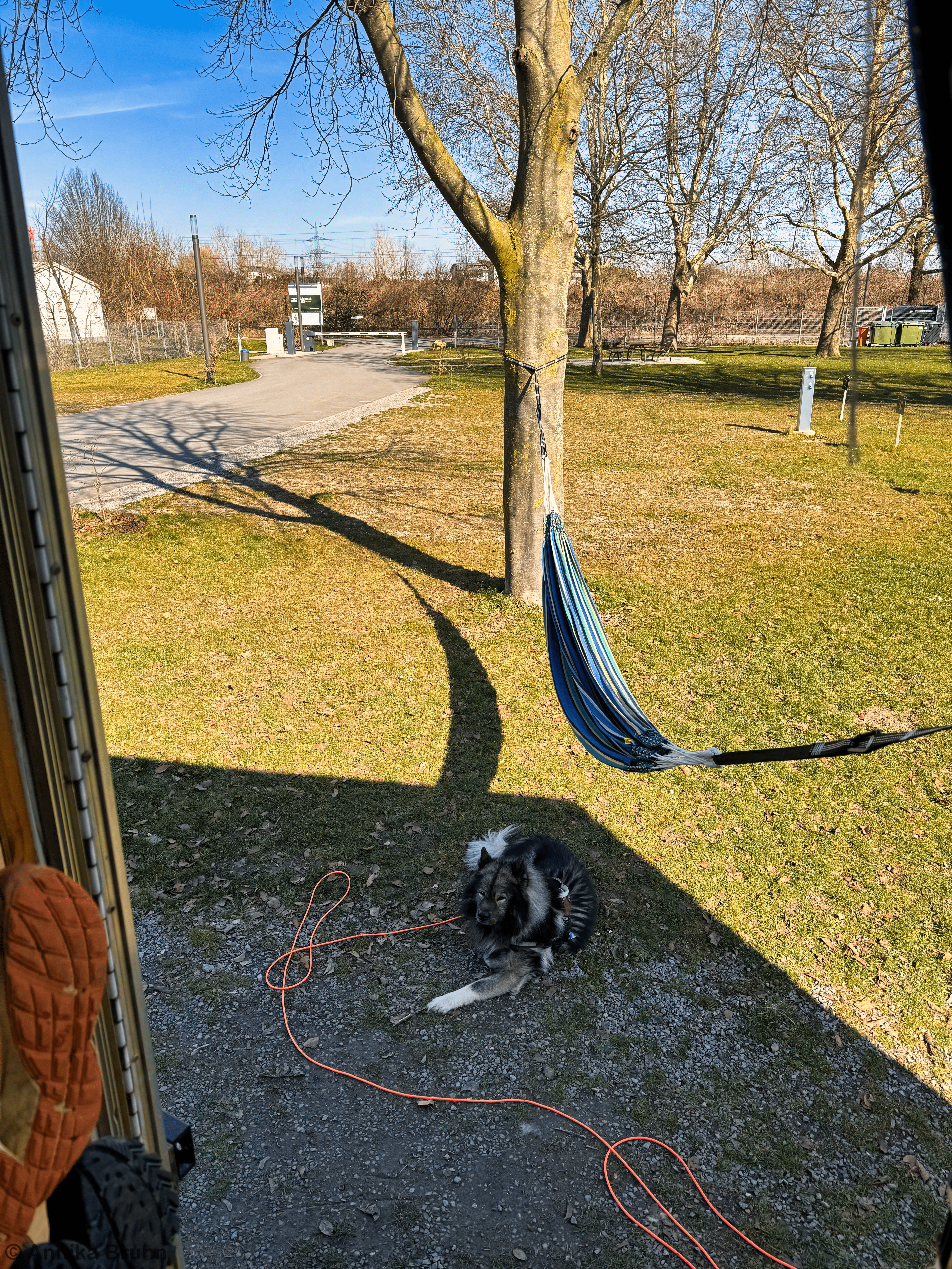 Erste Tag für die Hängematte